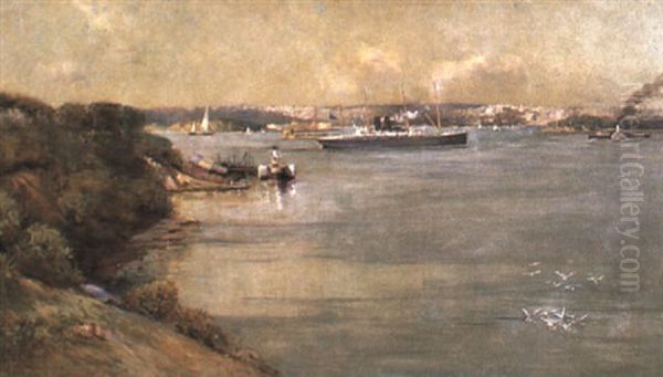 View Of Sydney Harbour From The North Shore - view 1
