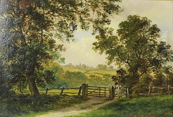 English Landscape - Park In Birmingham - view 1