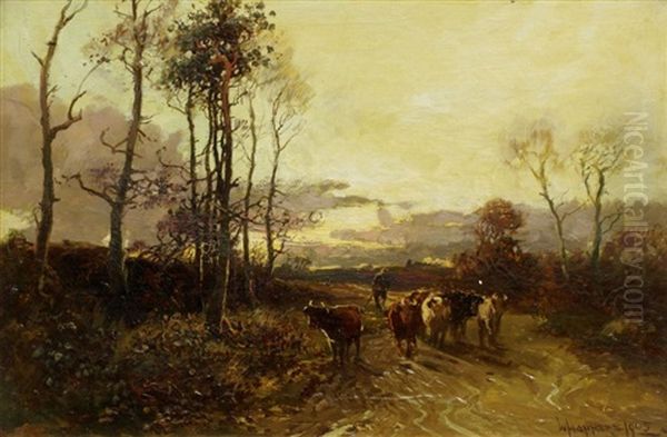 Driving Cattle, Late Afternoon - view 1