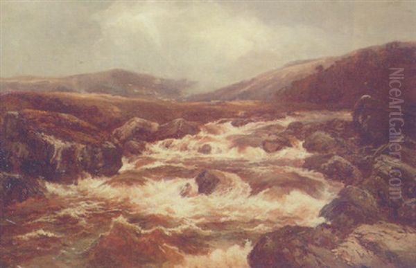 A Moorland Rapid - view 1