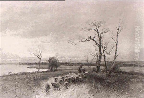 Driving Sheep - view 1