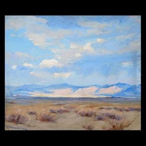 Desert Fleeting Moment