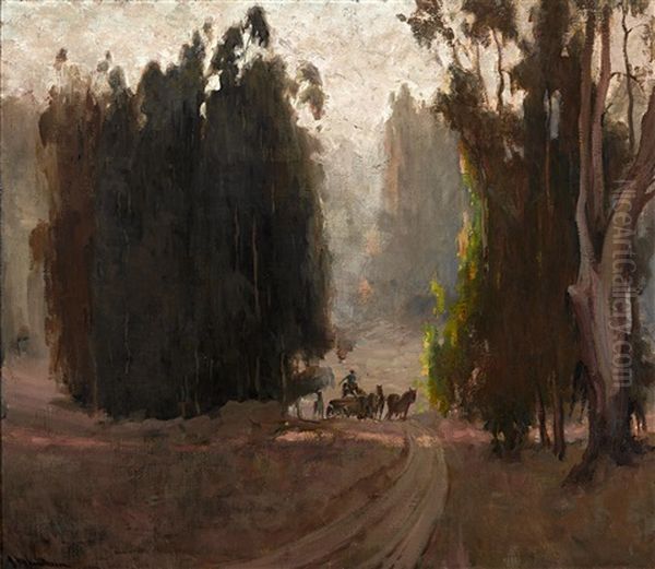 Farmer On Horse Drawn Cart Among Eucalyptus - view 1