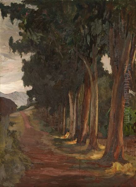 Eucalyptus Landscape - view 1