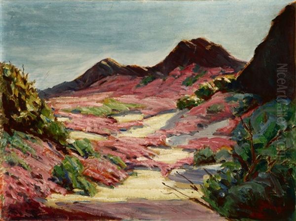 Blooming Desert - view 1