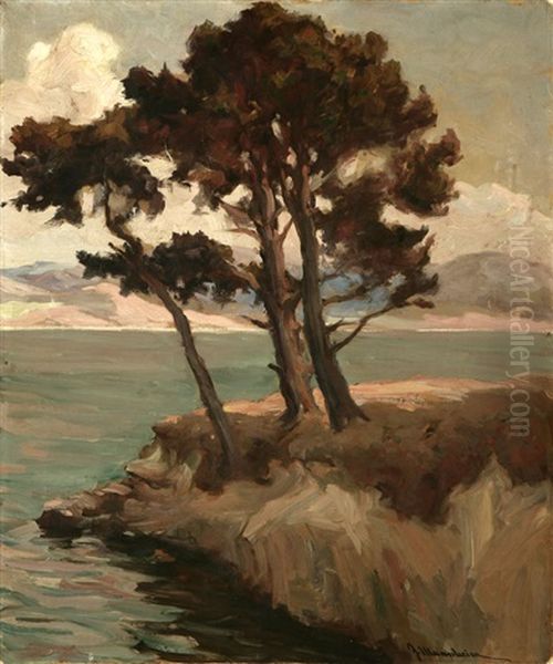 Trees In A Coastal View - view 1