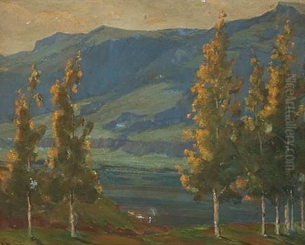 Quaken Aspens - view 1