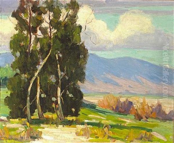Luminous Afternoon With Eucalyptus Grove - view 1