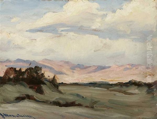 Atmospheric Desert Landscape - view 1
