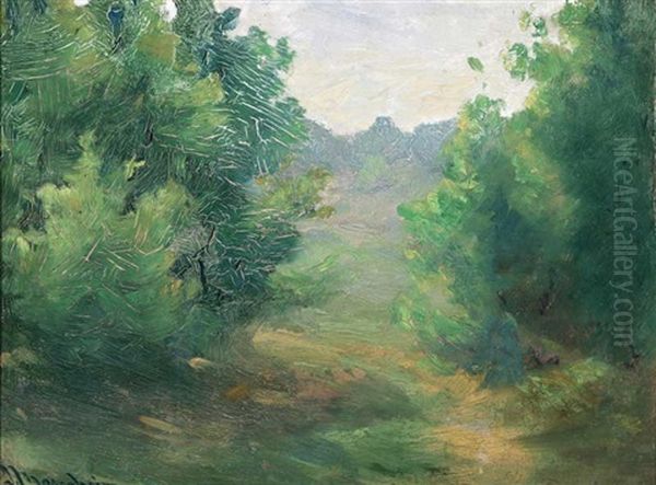 Wooded Landscape - view 1