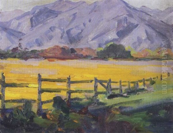 Yellow Field With Fence - view 1