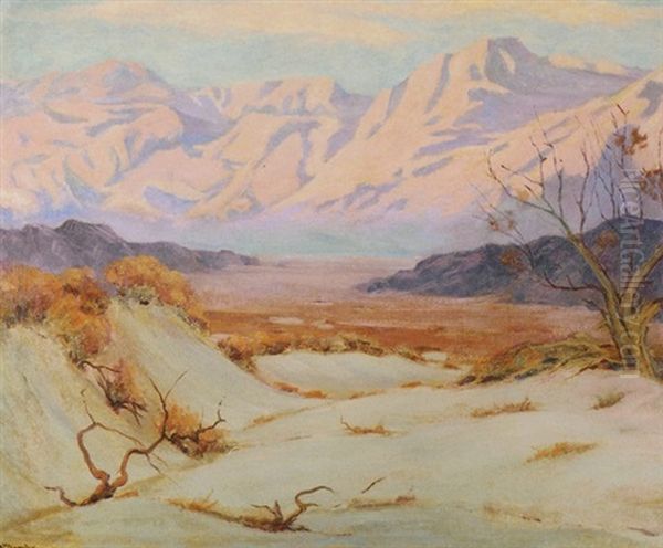 Evening In The Mojave - view 1