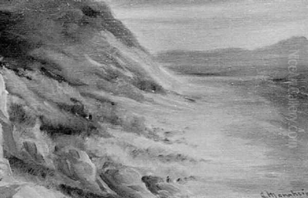 California Coastline - view 1