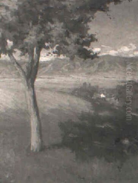 View From A Hillside - view 1