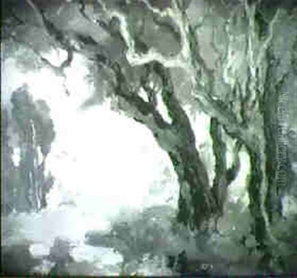 View Through The Trees - view 1