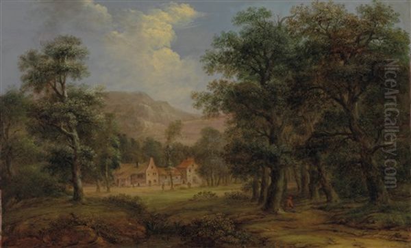 Bewaldete Landschaft - view 1