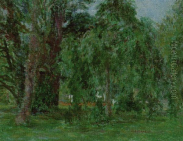 Dark Trees - view 1