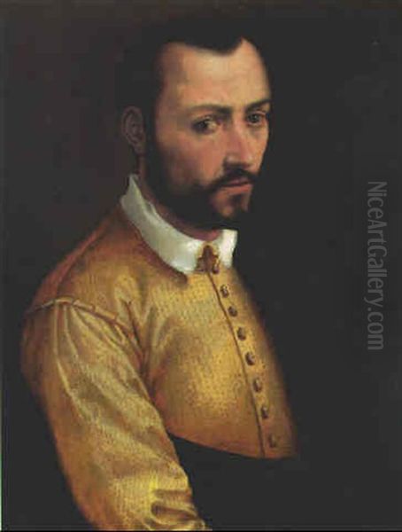 Portrait Of A Gentleman, Possibly Francesco I De'medici, Half-length, In A Yellow Doublet With A White Collar And A White Cape - view 1