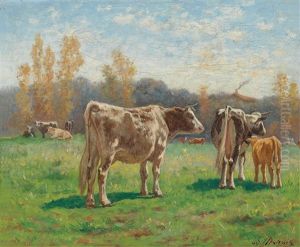 Cows In The Meadow Cows In The Meadow