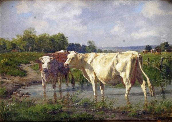 Vaches S'abreuvant - view 1