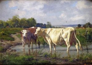 Vaches S'abreuvant Vaches S'abreuvant