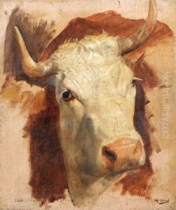 Taureau