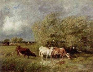 Cows In A Meadow Cows In A Meadow