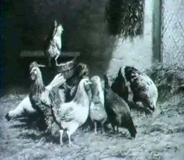 Poules Et Coq - view 1