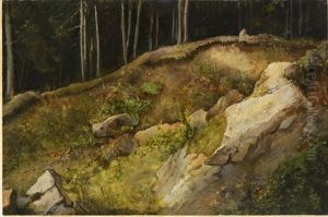 A Forest Gully by Julius Eduard Marak