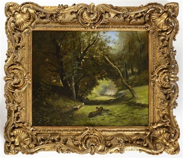 A Forest Path - view 1