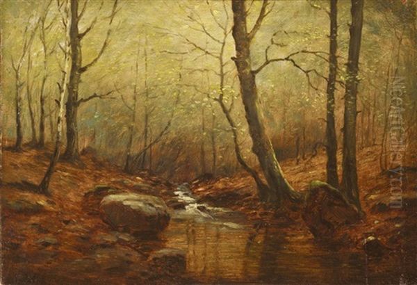 A Stream In The Forest - view 1