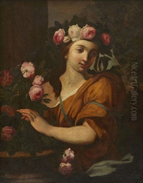 Flora - view 1