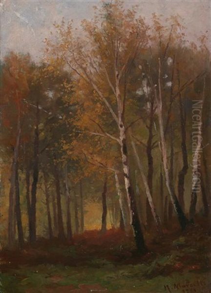 Woodland Glade - view 1
