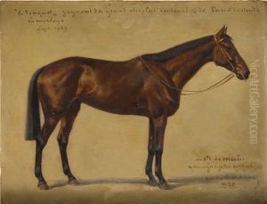 A Horse