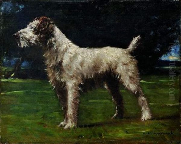 Le Fox-terrier - view 1