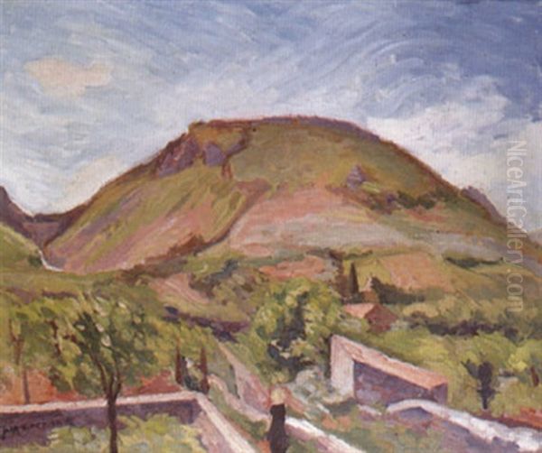 Bois Les Baronies - view 1
