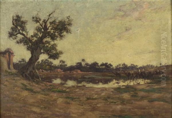 Caravanne A L'oasis (environ De Brika) - view 1