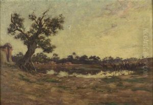 Caravanne A L'oasis (environ De Brika)