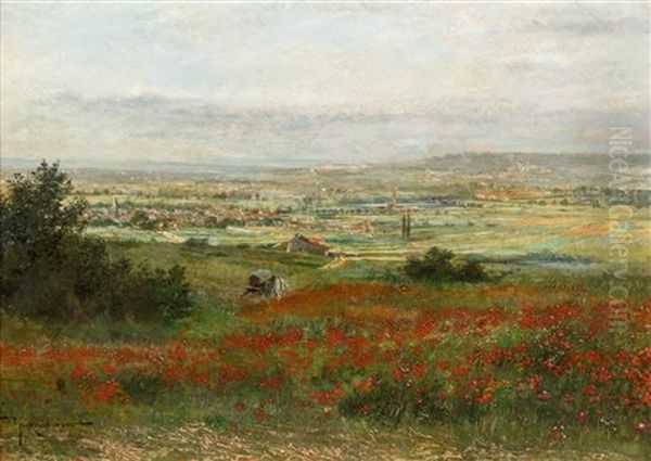 Landscape With Poppies - view 1