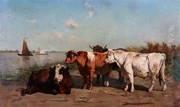 Resting Cows At The Water's Edge - view 1