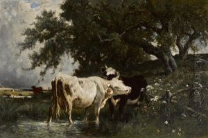 Cattle Watering Under A Sheltering Tree