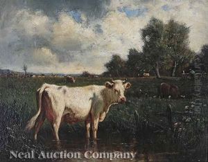 Cow By The Stream