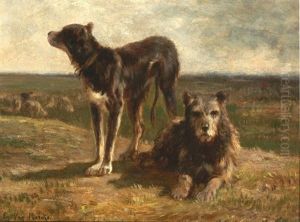Hunde Auf Dem Feld, Im Hintergrund Weidende Schafe Hunde Auf Dem Feld, Im Hintergrund Weidende Schafe