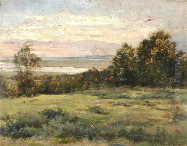 Heidelandschaft - view 1