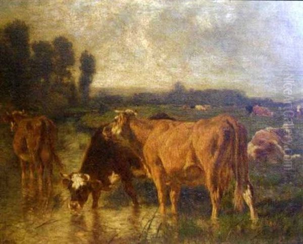 Cows At A Watering Spot, Others Lying In A Pasture In The Background - view 1