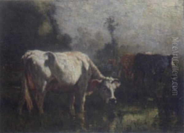 Cattle At Pasture - view 1