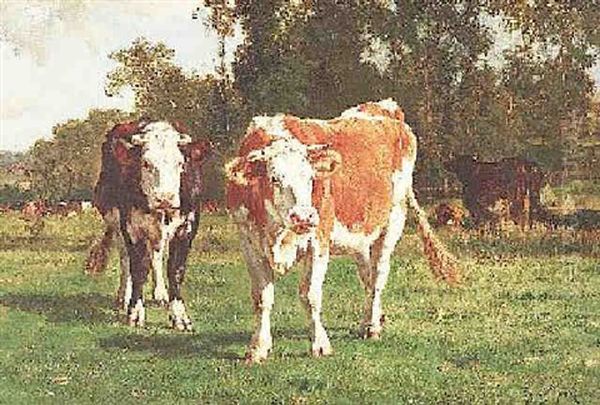 Kuhherde Auf Der Weide - view 1