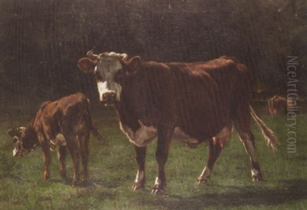 Cows In A Pasture - view 1