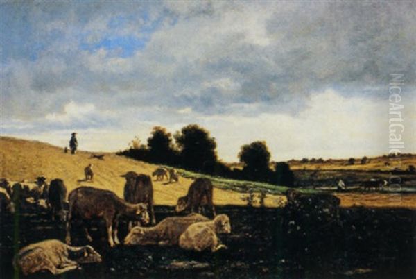 Troupeau De Moutons A L'abri Du Soleil - view 1