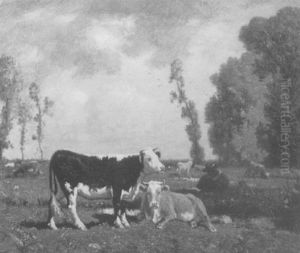 Cows In A Field Cows In A Field